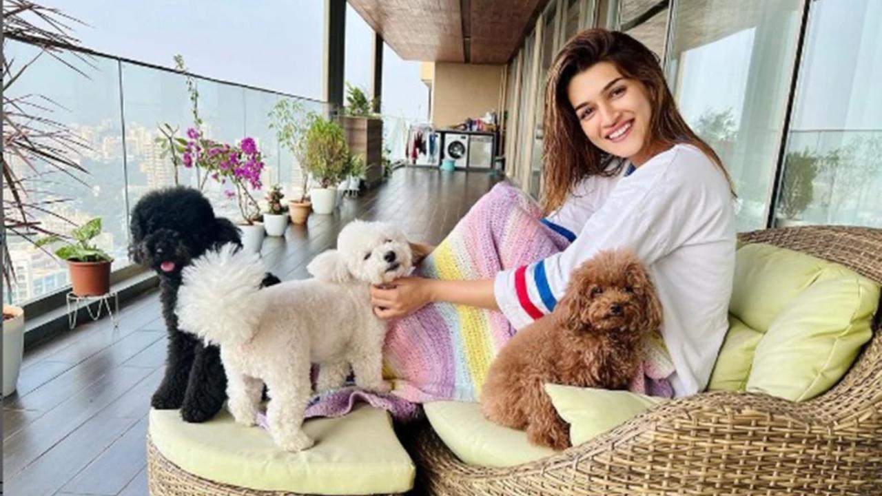 Kriti Sanon shares how she manifested buying a penthouse in Mumbai for her paren